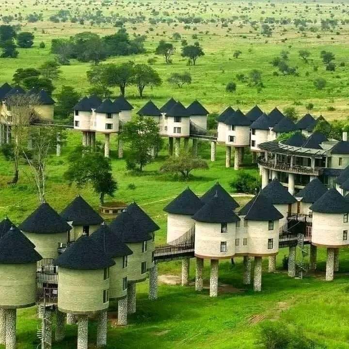 SaltLicksTaita
